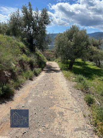 Terreno en Lugar Carretera de Padules, 5