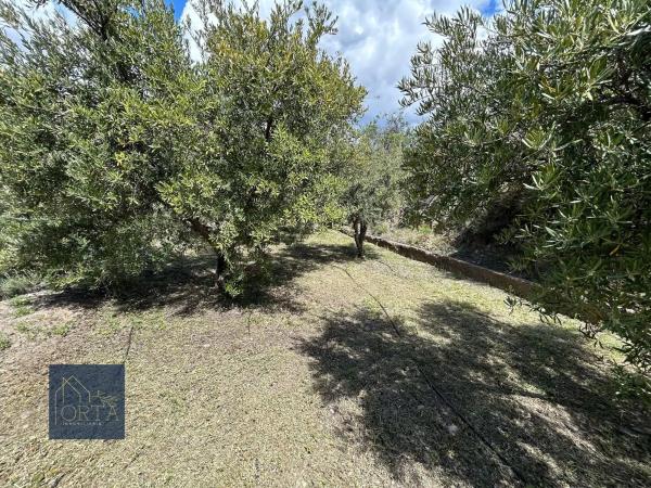 Terreno en Lugar Carretera de Padules, 5