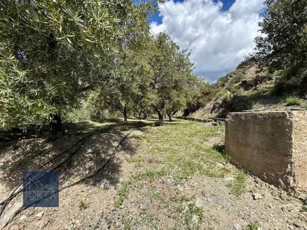 Terreno en Lugar Carretera de Padules, 5