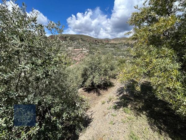Terreno en Lugar Carretera de Padules, 5