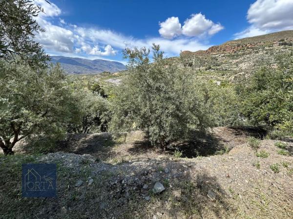Terreno en Lugar Carretera de Padules, 5