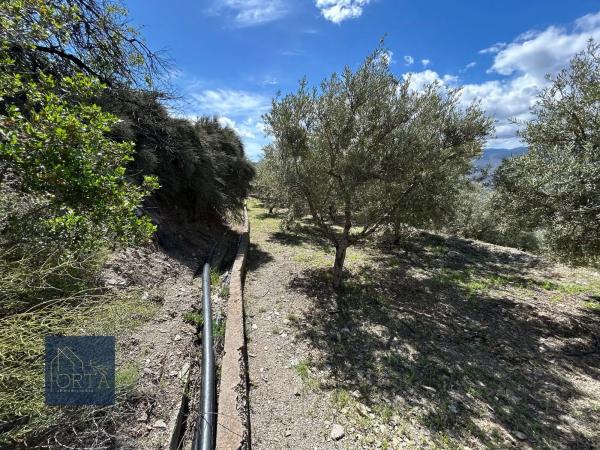 Terreno en Lugar Carretera de Padules, 5