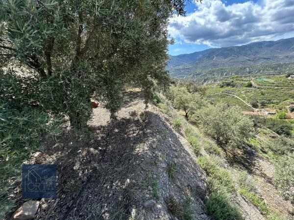 Terreno en Lugar Carretera de Padules, 5