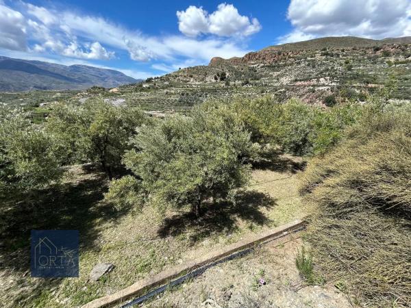 Terreno en Lugar Carretera de Padules, 5