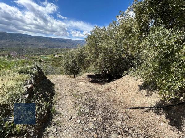 Terreno en Lugar Carretera de Padules, 5