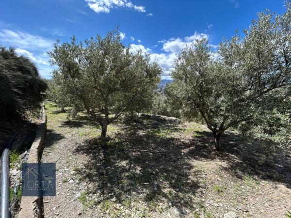 Terreno en Lugar Carretera de Padules, 5