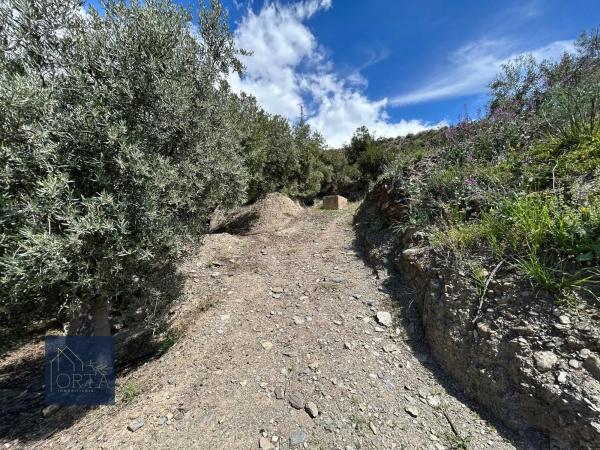 Terreno en Lugar Carretera de Padules, 5