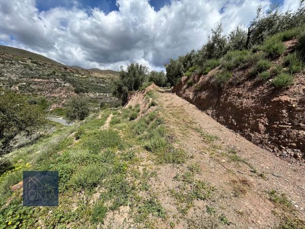 Terreno en Lugar Carretera de Padules, 5