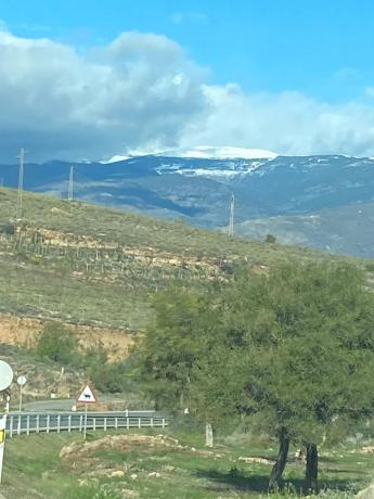 Terreno en calle la Rueda s/n