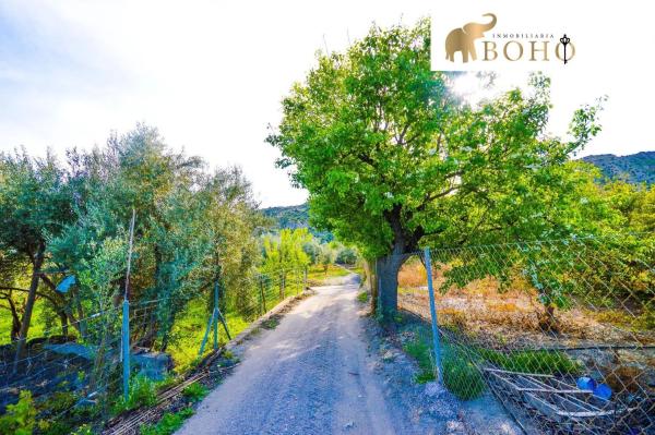 Terreno en plaza San Juan, 12 -14