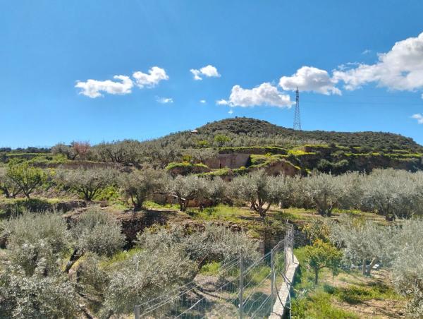 Terreno en alhama s/n