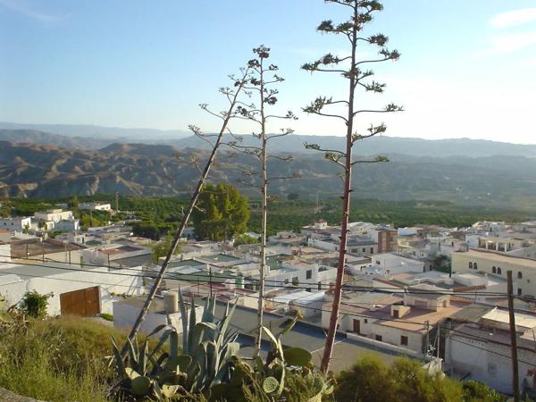 Terreno en plaza de la Iglesia, 1