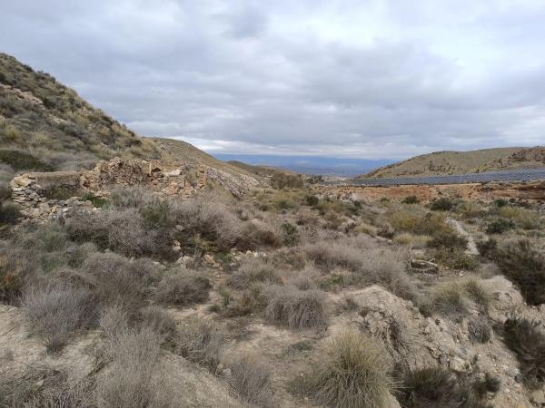 Terreno en Paraje de las balsas s/n