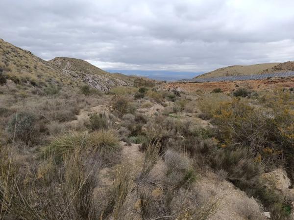 Terreno en Paraje de las balsas s/n