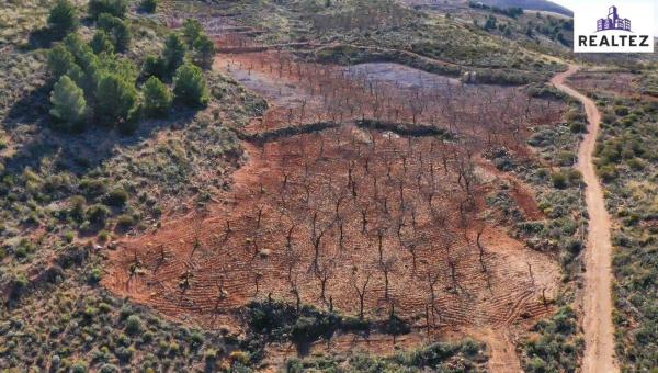 Terreno en Alcolea