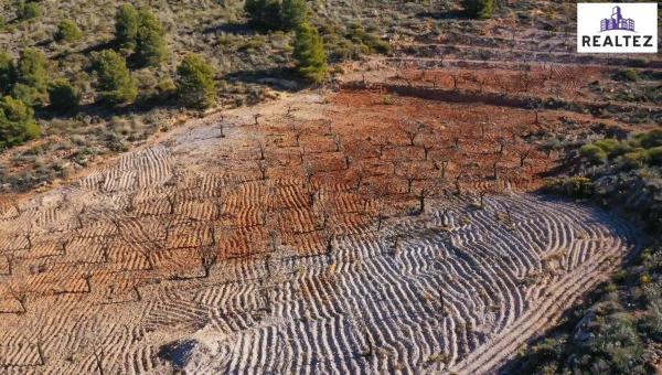 Terreno en Alcolea