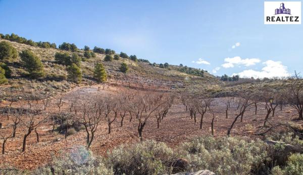 Terreno en Alcolea