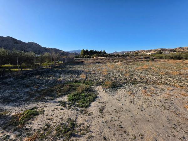 Terreno en Poligono 2, Parcela 174 s/n LaCapitana