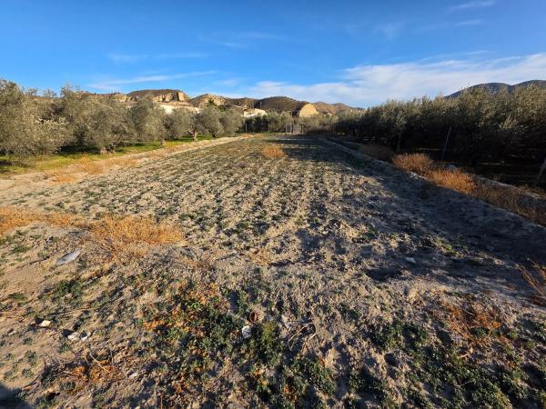 Terreno en Poligono 2, Parcela 174 s/n LaCapitana
