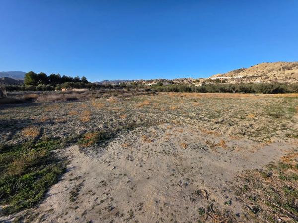 Terreno en Poligono 2, Parcela 174 s/n LaCapitana