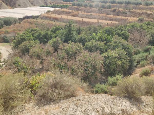 Terreno en Poligono 3 s/n