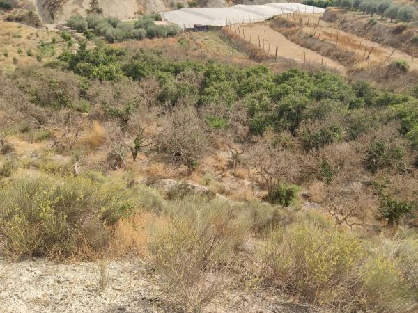 Terreno en Poligono 3 s/n