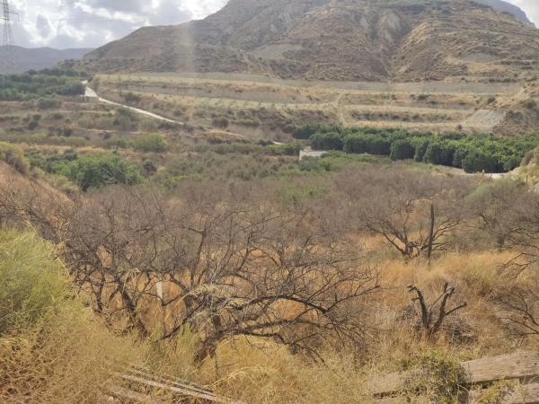 Terreno en Poligono 3 s/n