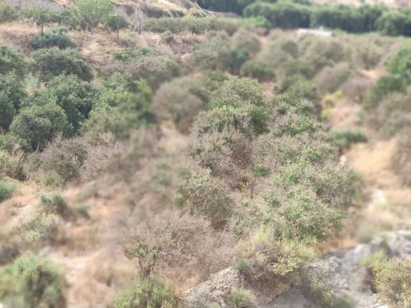 Terreno en Poligono 3 s/n