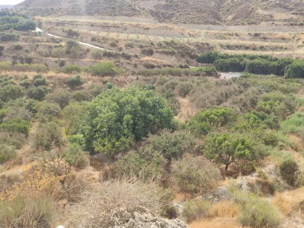 Terreno en Poligono 3 s/n