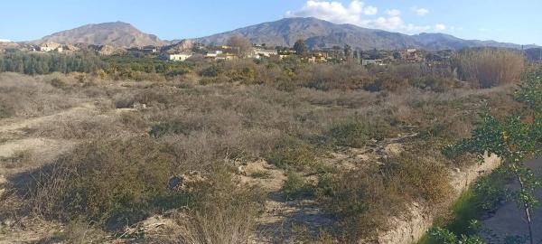 Terreno en calle Juan Oña, 21