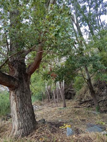 Terreno en rambla de tices s/n