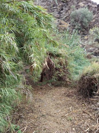 Terreno en rambla de tices s/n