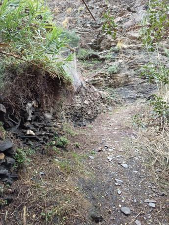 Terreno en rambla de tices s/n