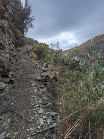 Terreno en rambla de tices s/n