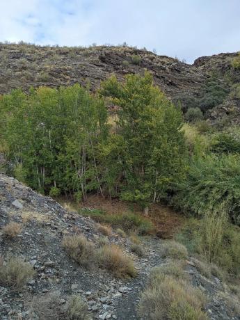 Terreno en rambla de tices s/n