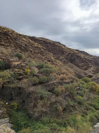 Terreno en rambla de tices s/n