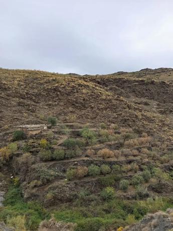 Terreno en rambla de tices s/n