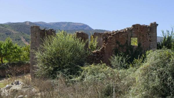 Terreno en Paraje Pago Acequia Baja Polígono 11 Parcela 174, 11