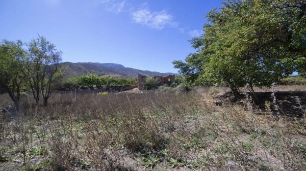 Terreno en Paraje Pago Acequia Baja Polígono 11 Parcela 174, 11