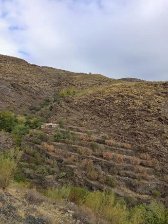 Terreno en rambla de tices s/n