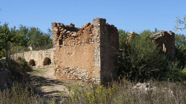 Terreno en Paraje Pago Acequia Baja Polígono 11 Parcela 174, 11