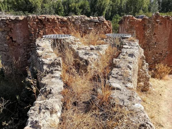 Terreno en Paraje Pago Acequia Baja Polígono 11 Parcela 174, 11