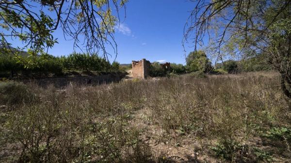 Terreno en Paraje Pago Acequia Baja Polígono 11 Parcela 174, 11