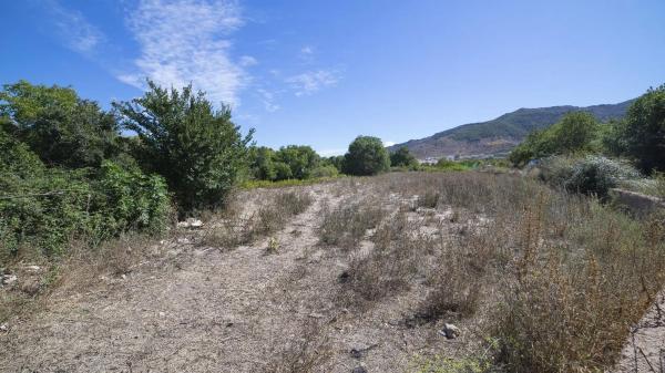 Terreno en Paraje Pago Acequia Baja Polígono 11 Parcela 174, 11