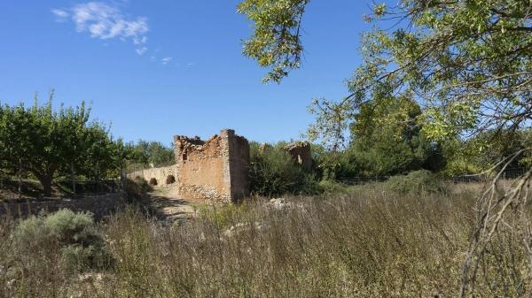 Terreno en Paraje Pago Acequia Baja Polígono 11 Parcela 174, 11