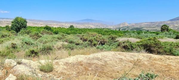 Terreno en calle Almazara