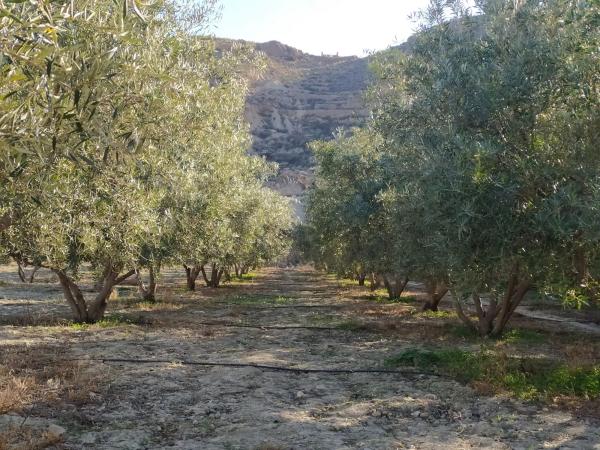 Terreno en via Sin Nombre, km 256