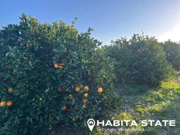 Terreno en Paraje Las Terreras s/n
