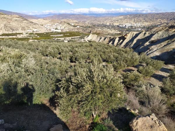 Terreno en via Sin Nombre, km 256