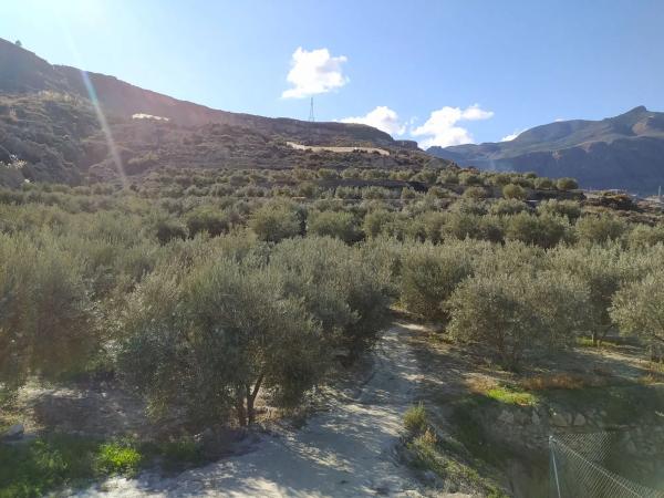 Terreno en via Sin Nombre, km 256